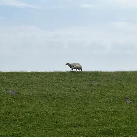 Appartement Haus Lith - Olesen *