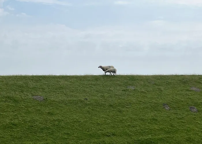 Appartement Haus Lith - Olesen *